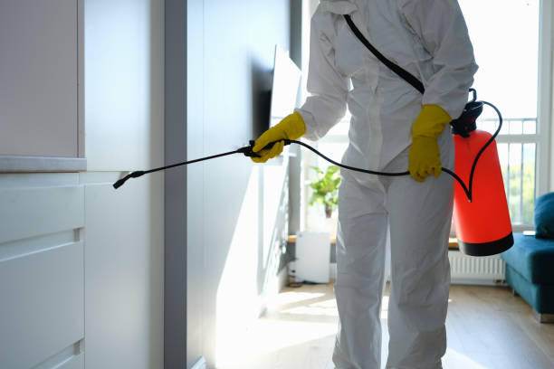 Best Office Mold Removal Services  in Roan Mountain, TN