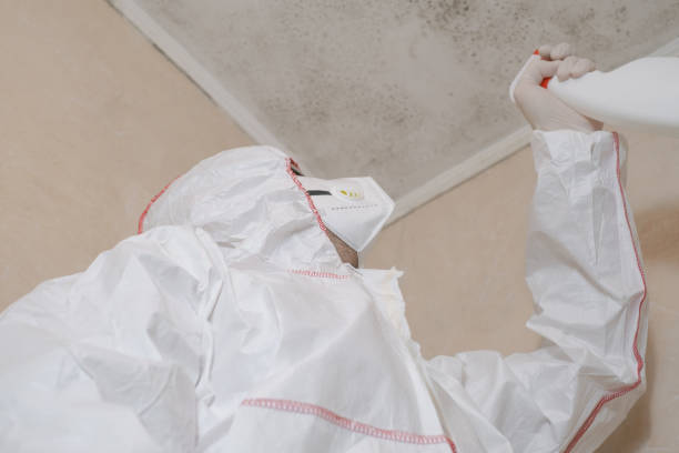 Best Office Mold Removal Services  in Roan Mountain, TN